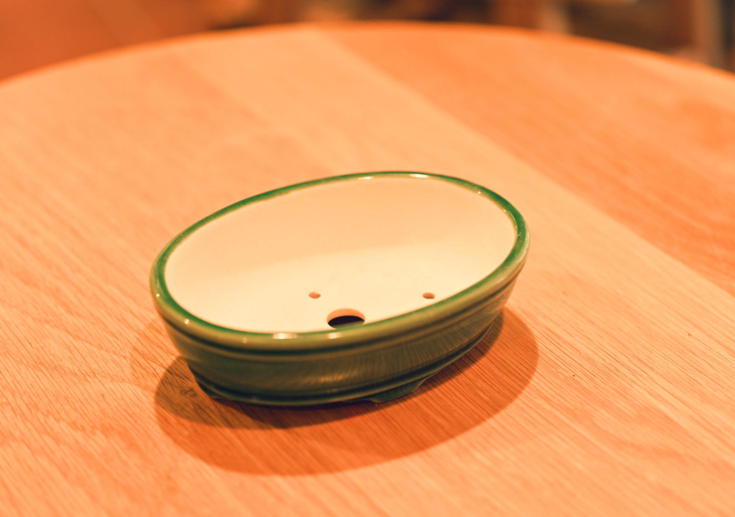 Ceramic Aesthetic Bonsai Pot (Displayed Tree Not Included)