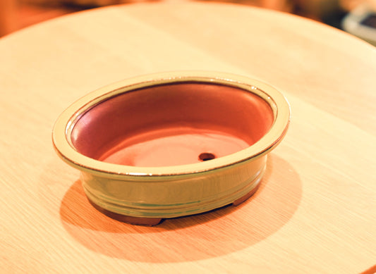 Ceramic Aesthetic Bonsai Pot (Displayed Tree Not Included)